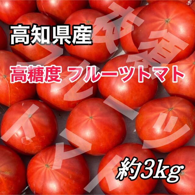 夜須フルーツトマト 高知県産 高糖度 食品/飲料/酒の食品(野菜)の商品写真