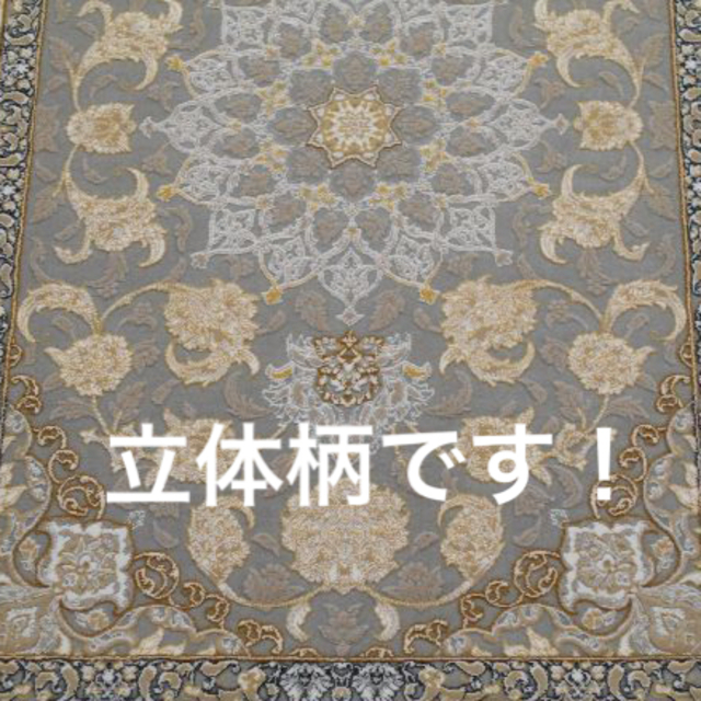 高品質 高密度 立体柄 本場 60×90cm-28001 絨毯 イラン産