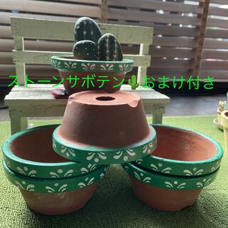 中古素焼き平鉢リメイク品6個セット(ストーンサボテン🌵おまけ付き)(プランター)