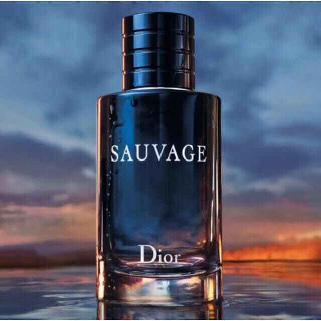 Dior SAUVAGE100mlディオール ソバージュ オードゥトワレ#2