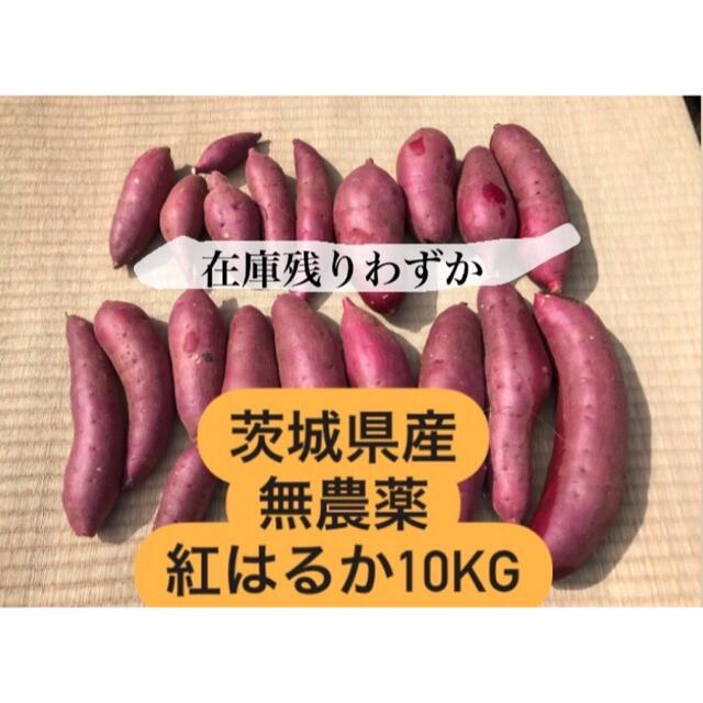 【訳あり】茨城県産無農薬さつまいも紅はるか10kg