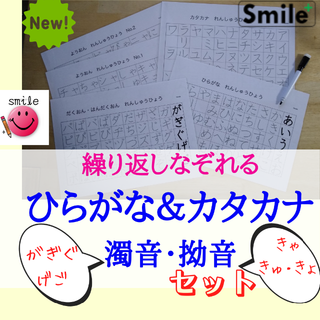 新セット★繰り返し書いてけせる　ひらがな＆カタカナ＆濁音・拗音セット　マーカー付(知育玩具)