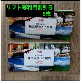 日本駐車場開発　株主優待　リフト等利用割引券　6枚(その他)