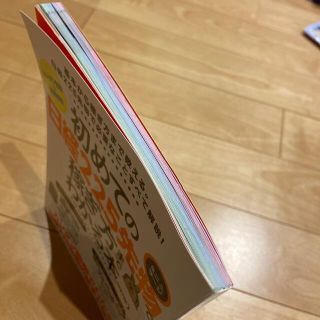 初めての日経225先物〈ミニ&ラ-ジ〉で稼ぎ方までわかる本 改訂版