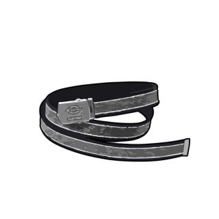 シュプリーム(Supreme)のSupreme Dickies Stripe Webbing Belt(ベルト)