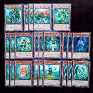 ユウギオウ(遊戯王)の遊戯王　森羅  関連カード 35枚セット(その他)