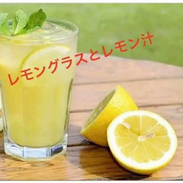 紫レモングラス苗3本。最高香り 食品/飲料/酒の食品(野菜)の商品写真