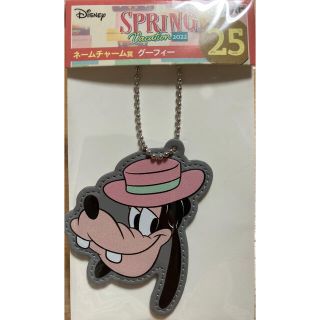 新品 DISNEY SPRING VACATION 2022 Happyくじ(キャラクターグッズ)