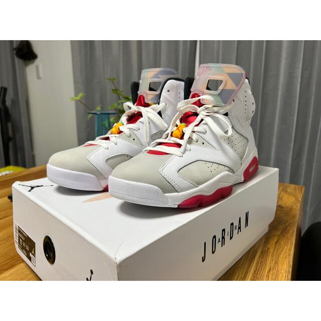 NIKE(ナイキ)のNIKE AIR JORDAN 6 NEUTRAL GREY HARE 29cm メンズの靴/シューズ(スニーカー)の商品写真