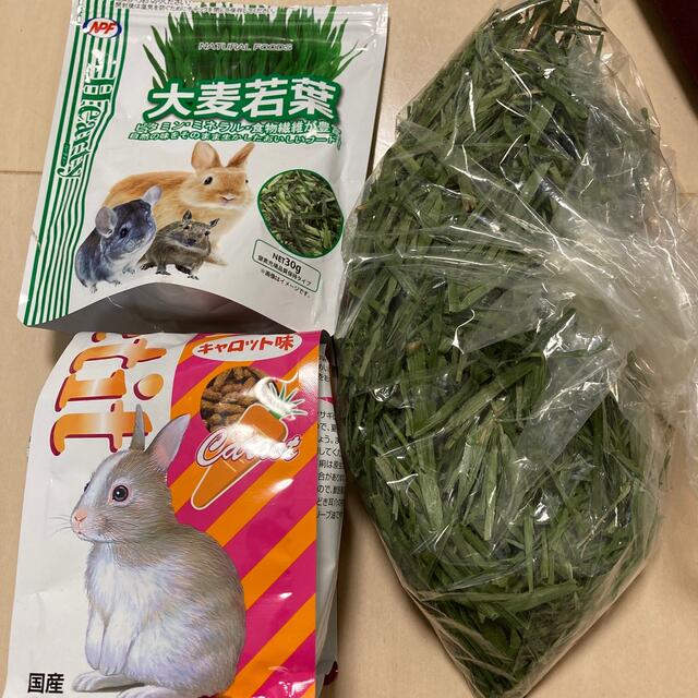 ウサギ用フード、大麦若葉、イタリアンライグラス その他のペット用品(小動物)の商品写真