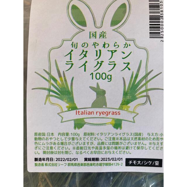 ウサギ用フード、大麦若葉、イタリアンライグラス その他のペット用品(小動物)の商品写真