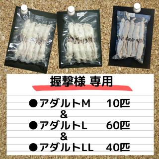【握撃様専用】国産冷凍マウス アダルトM10匹、アダルトL60匹、他(ペットフード)