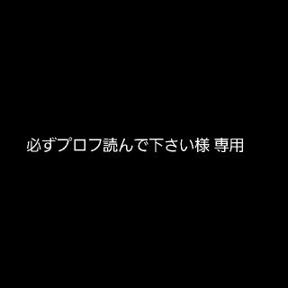 必ずプロフ読んで下さい様 専用