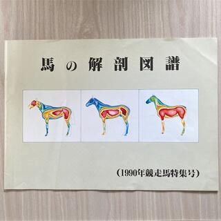「馬の解剖図譜」　レア　馬　競馬　JRA 本(その他)