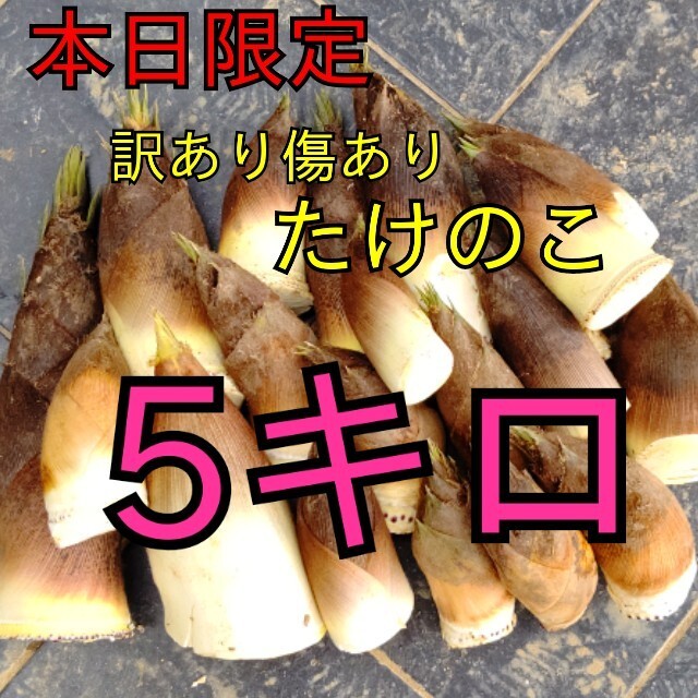 訳あり  傷あり タケノコ たけのこ 竹の子 筍 無農薬 やさい 食品/飲料/酒の食品(野菜)の商品写真