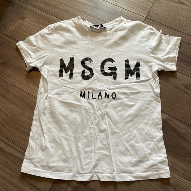 MSGM Tシャツ Sサイズ