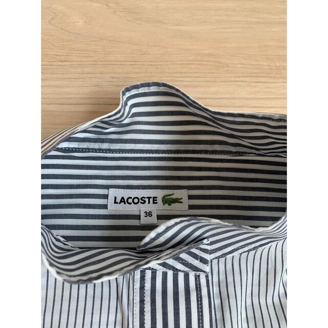 LACOSTE(ラコステ)のラコステ★ストライプコットンシャツ★36サイズ レディースのトップス(シャツ/ブラウス(長袖/七分))の商品写真