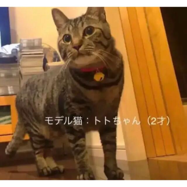 まるでタマの首輪 ペット 猫ちゃん ワンちゃん その他のペット用品(猫)の商品写真