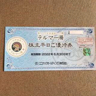 エコナック  株主優待　テルマー湯　平日招待券　1枚(その他)