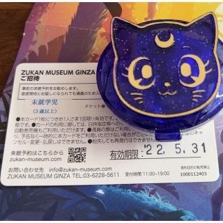 図鑑ミュージアム ZUKANMUSEUM ずかんミュージアム チケット 未就学児(美術館/博物館)