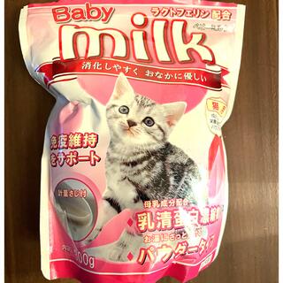 ミルク(MILK)の猫ミルク(猫)