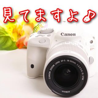 キヤノン(Canon)の使用頻度ごく僅か⭐️可愛い一眼レフ⭐️キヤノンEOS kiss x7(デジタル一眼)