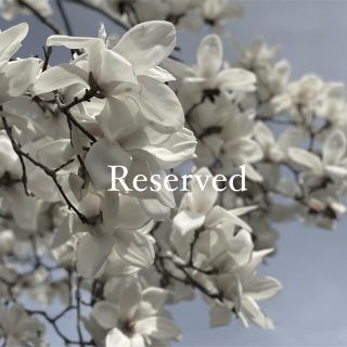 Reserved (ピアス)