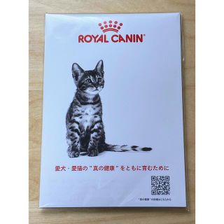 ロイヤルカナン(ROYAL CANIN)のロイヤルカナンの猫のメモ帳(猫)