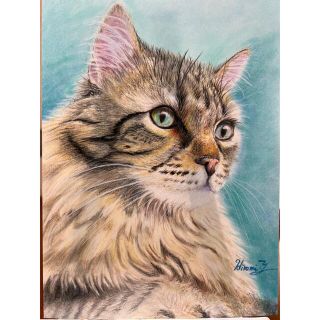 再販オーダー可★色鉛筆画　猫ねこ　ネコ　　絵画　手描き　 「雪空を見上げる猫」