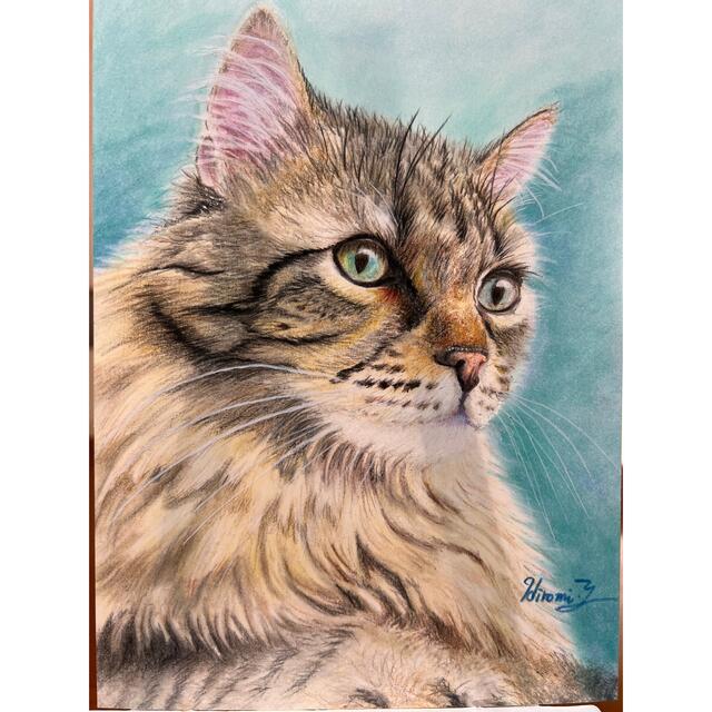 猫の色鉛筆画 原画 最安 - 絵画 猫の色鉛筆画 原画 最安 - 絵画