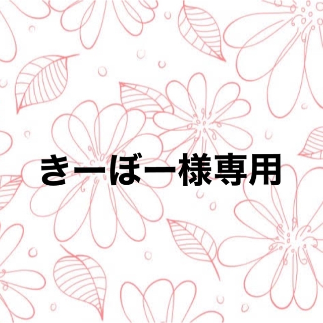 明治(メイジ)のきーぼー様専用  新垣結衣　クリアファイル エンタメ/ホビーのタレントグッズ(女性タレント)の商品写真