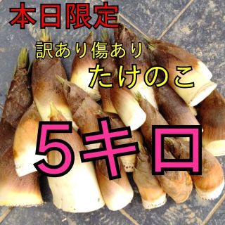 わけあり  傷あり タケノコ たけのこ 竹の子 筍 野菜 無農薬(野菜)