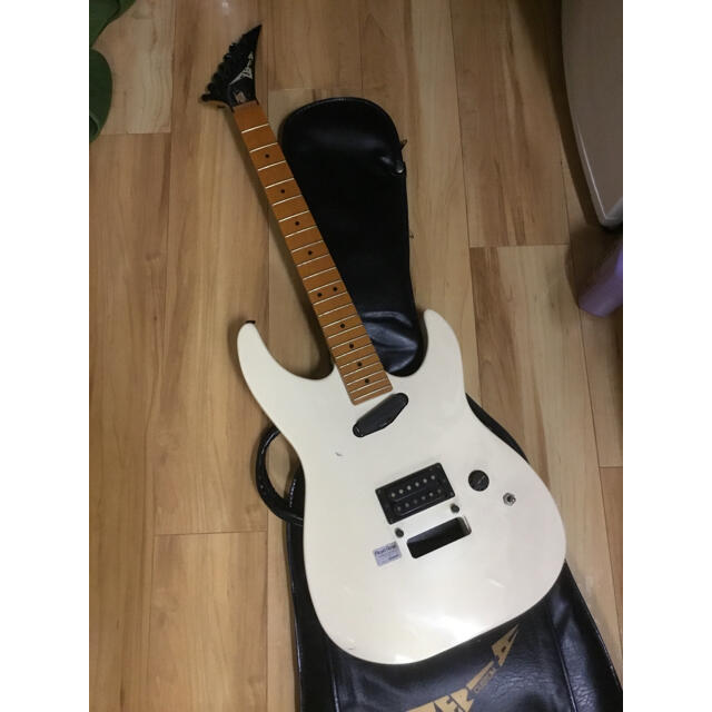 ZEP II guitar | www.carmenundmelanie.at