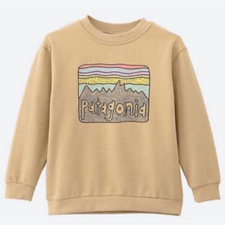 パタゴニア(patagonia)のPatagonia 薄手裏起毛スウェット(Tシャツ/カットソー)