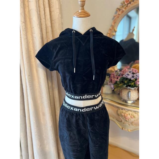 トップスAlexander Wang ベロアセットアップ