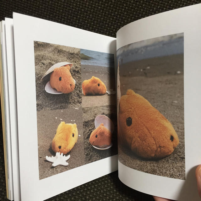 はる様専用 カピバラさん 写真集の通販 by R&S shop|ラクマ
