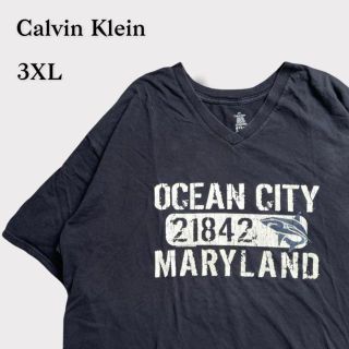 カルバンクライン(Calvin Klein)のカルバンクライン　Tシャツ　半袖　黒　ゆるだぼ　オーバーサイズ(Tシャツ/カットソー(半袖/袖なし))