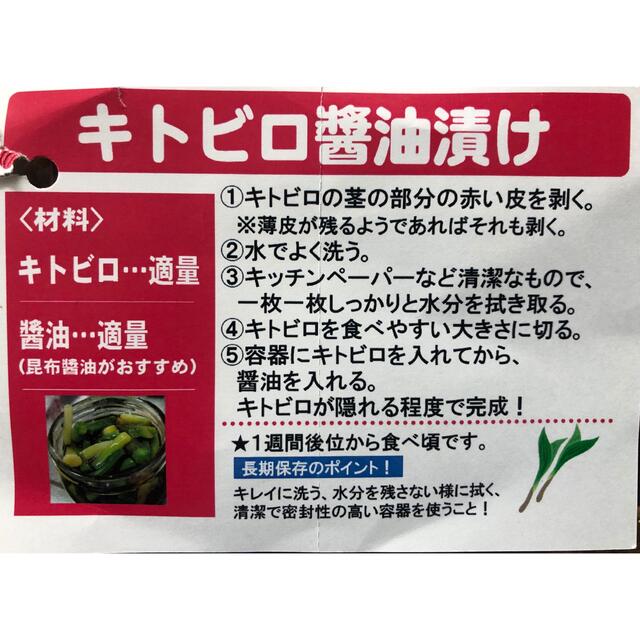 ポポ様専用3k   山菜❗️行者にんにく❗️天然物❗️北海道産❗️アイヌネギ  食品/飲料/酒の食品(野菜)の商品写真