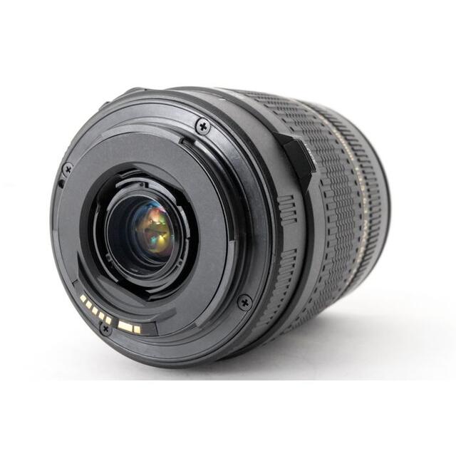 できる Canon Canon用 28-300mmの通販 by 毎日発送のメルカメラ｜キヤノン