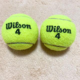 ウィルソン(wilson)のウィルソン　テニスボール　2個セット(ボール)