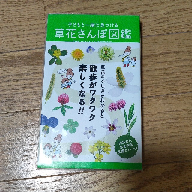 子どもと一緒に見つける草花さんぽ図鑑 エンタメ/ホビーの本(科学/技術)の商品写真