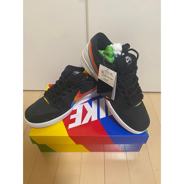 Polaroid × Nike SB Dunk Low Pro Black 29