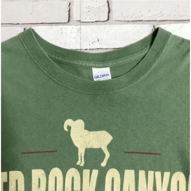 GILDAN(ギルタン)の【GILDAN L】レッドロックキャニオン カーキ ヴィンテージ 半袖 Tシャツ メンズのトップス(Tシャツ/カットソー(半袖/袖なし))の商品写真