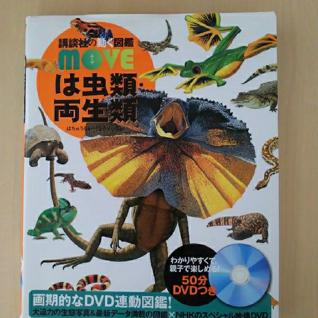 講談社動く図鑑MOVE 7冊DVD付き 特別オファー - 絵本・児童書 講談社動く図鑑MOVE 7冊DVD付き 特別オファー - 絵本・児童書