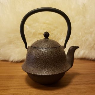 remrem様 専用 鉄瓶　南部鉄器　急須(食器)