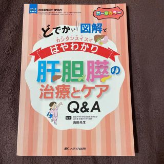 専用 肝胆膵の治療とケアＱ＆Ａ どでかい図解でカンタンスイスイはやわかり(健康/医学)