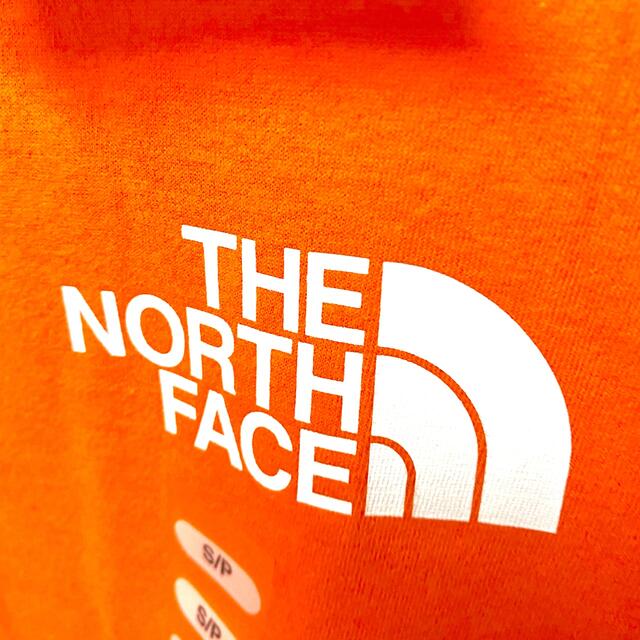 THE NORTH FACE(ザノースフェイス)のノースフェイス　日本未発売　新品未使用 メンズのトップス(Tシャツ/カットソー(七分/長袖))の商品写真