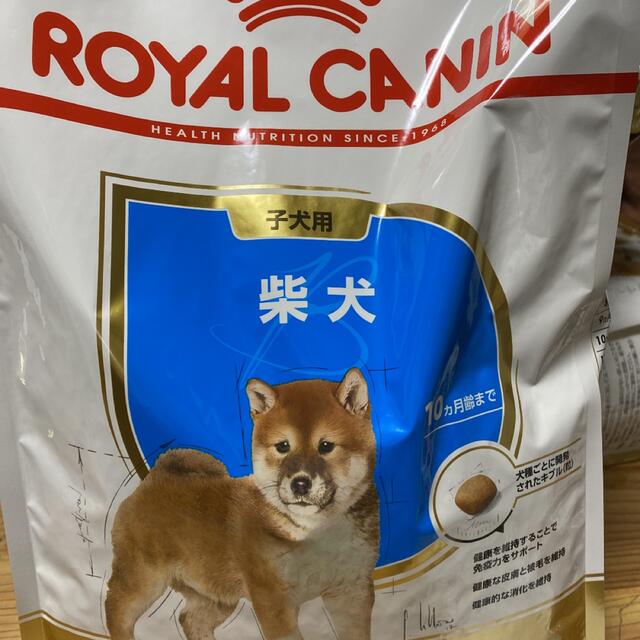 ロイヤルカナン 柴犬 子犬用 3kg×3袋 未開封新品