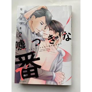 kmm! 様専用　嘘つきな番 2 / 好きと嫌いは紙一重　　(ボーイズラブ(BL))