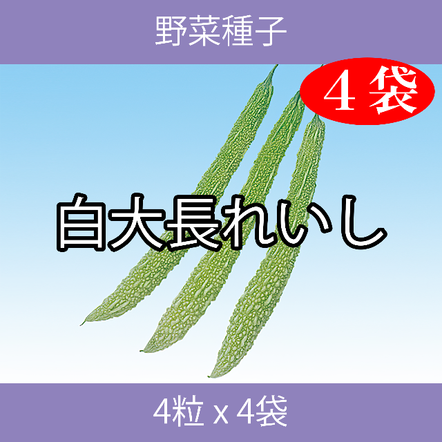 野菜種子 EAH 白大長れいし 4粒 x 4袋 食品/飲料/酒の食品(野菜)の商品写真